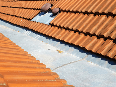 About Leaking Skylight Repair Pros Amalia, NM